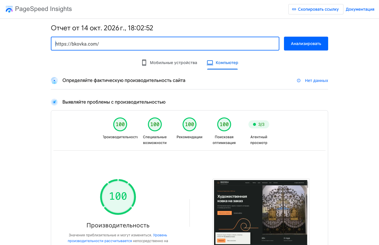 Результат PageSpeed Insights для сайта bkovka.com на компьютере: производительность 100 баллов, доступность 100, рекомендации 100, SEO 100